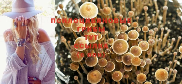 mdpv Нея