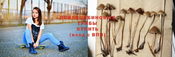 mdpv Нея
