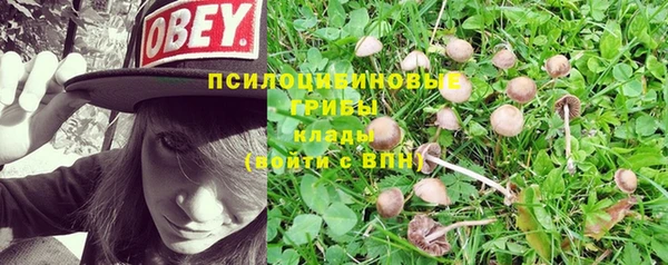 мет Нефтекумск