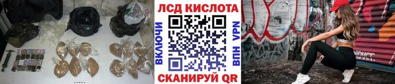 Купить закладки  Курган  LSD-25 экстази кислота 
