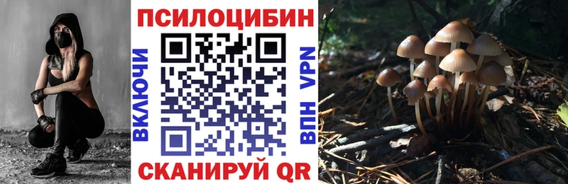 Псилоцибиновые грибы мухоморы Курган